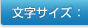 文字サイズ